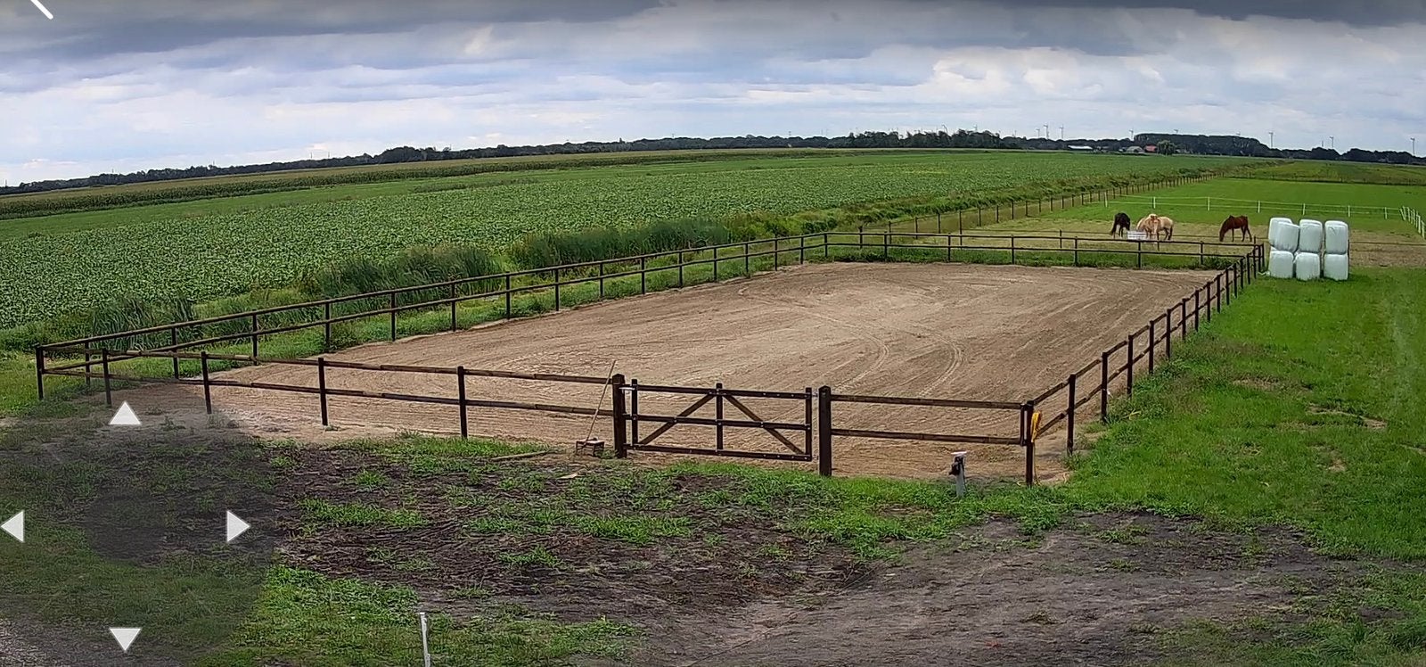 Volpension aangeboden, Weidegang, 1 paard of pony