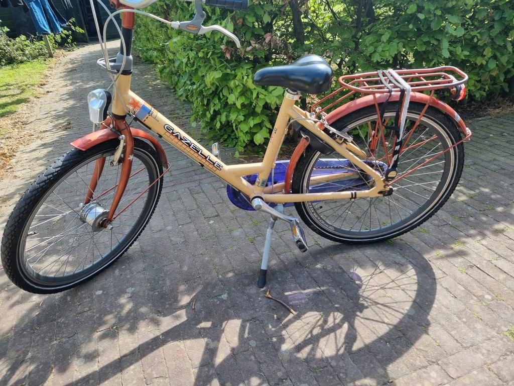 Gazelle whale 24 inch, Ophalen, Terugtraprem, Gebruikt, Versnellingen
