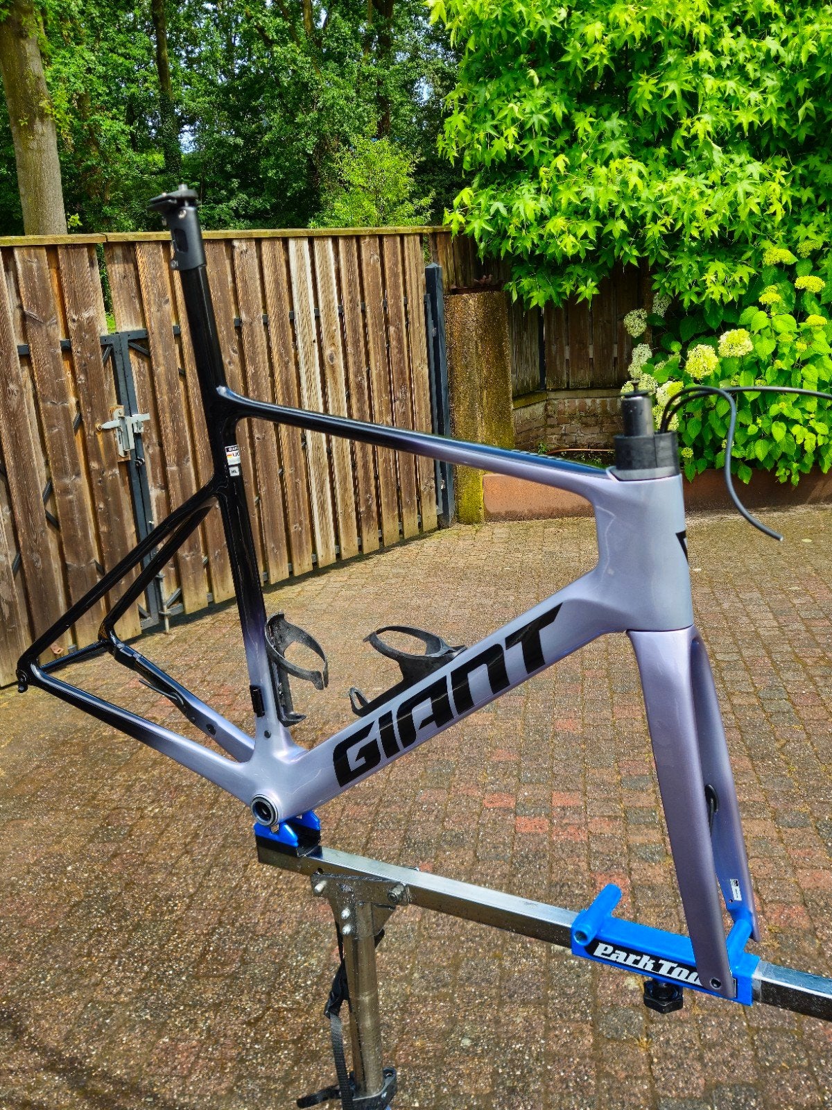 Giant Propel Advanced SL0 frameset maat M/L  MY2025, Ophalen