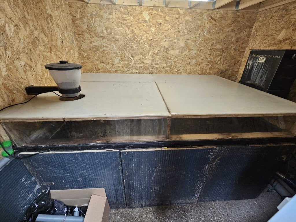 Quarantaine bak, opgroeibak, Tuin en Terras, Vijver-toebehoren, Zo goed als nieuw, Vijverbak, Ophalen