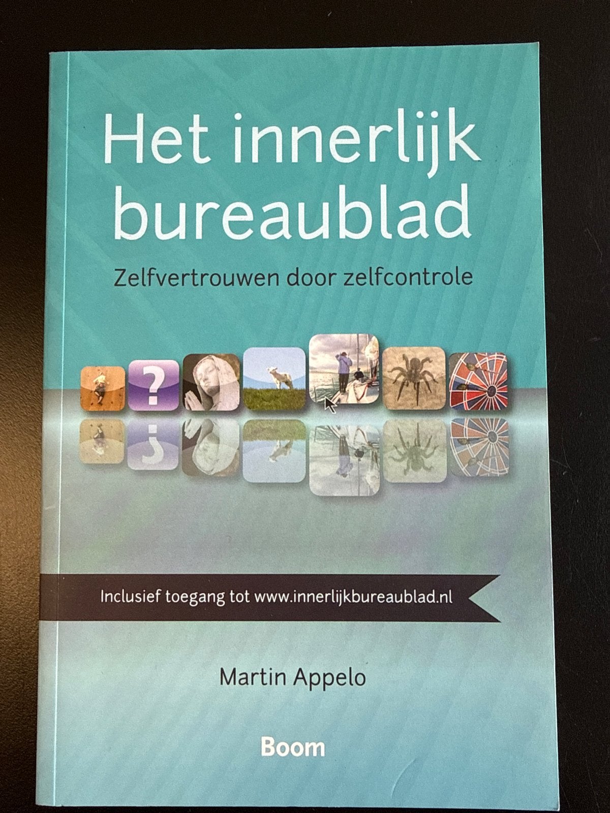 Het Innerlijk Bureaublad: Zelfvertrouwen door Zelfcontrole, Ophalen of Verzenden, Nieuw, Functieleer of Neuropsychologie
