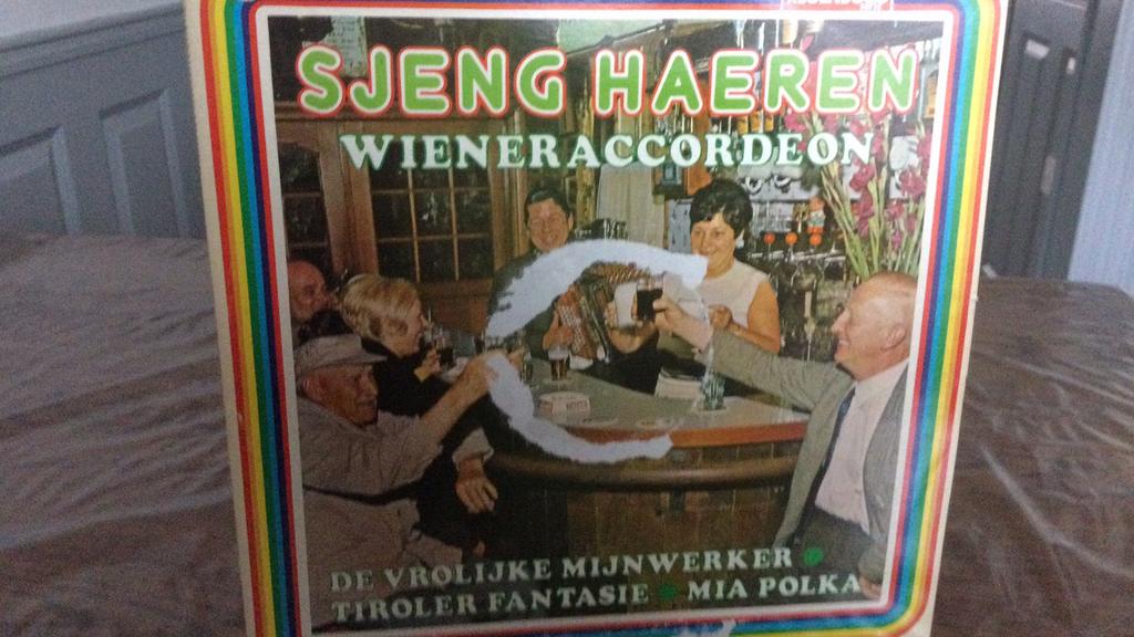 Sjeng Haeren Telstar lp, Cd's en Dvd's, Ophalen of Verzenden, Gebruikt