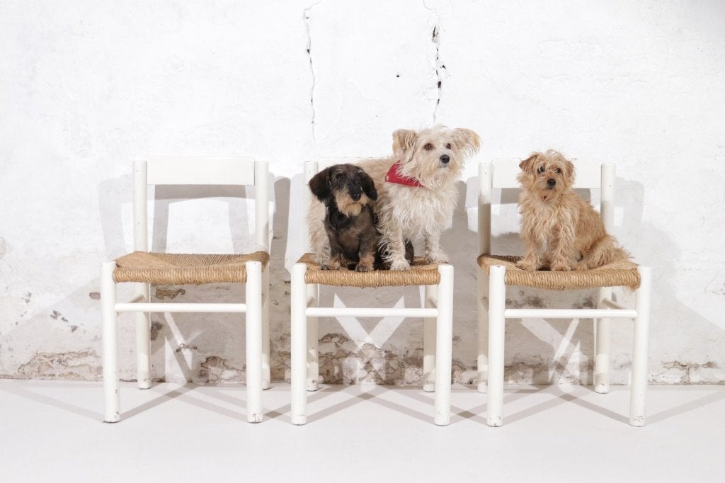 Charlotte Perriand stijl witte eetkamerstoelen - set van 2, Huis en Inrichting, Ophalen, Gebruikt, Twee, Wit