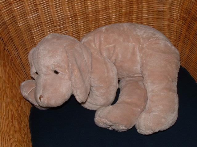 HAPPY HORSE HOND DOG HERALD NR4 WITH MAX COLLAR, Ophalen of Verzenden, Nieuw, Overige typen