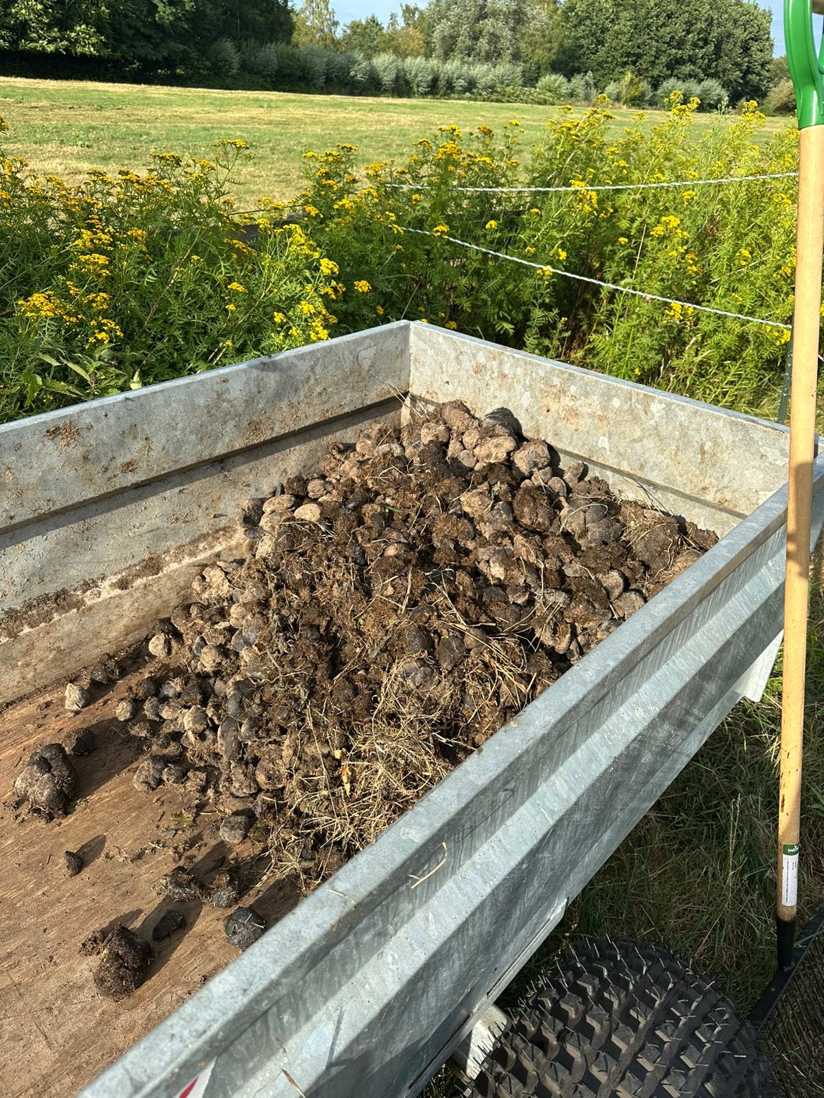Pure paardenmest gratis af te halen in Blaricum, Tuin en Terras, Ophalen