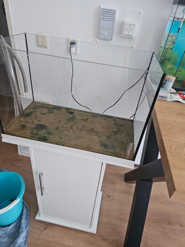 Aquariums te koop,  incl vissen, Ophalen, Gevuld zoetwateraquarium