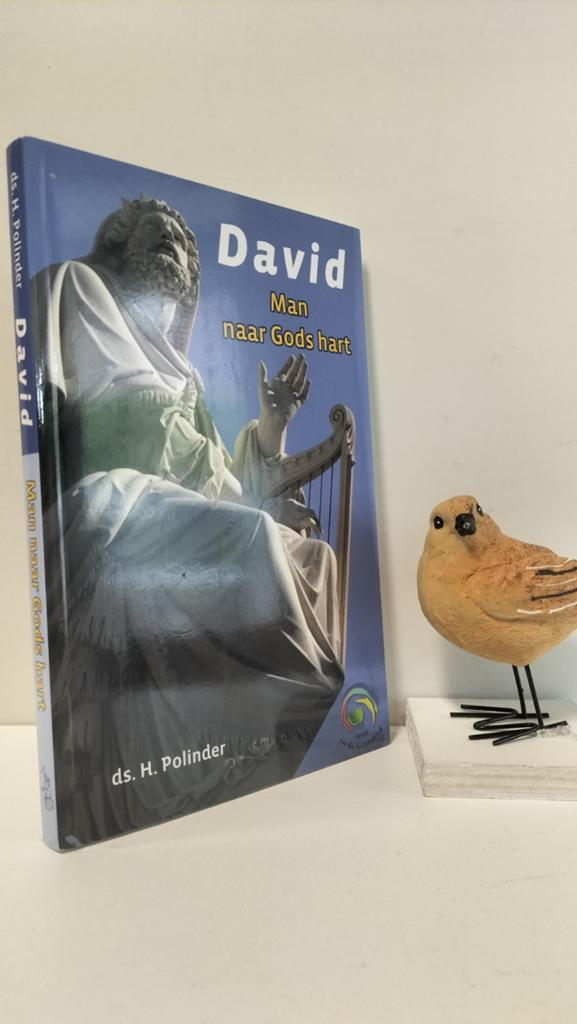 Polinder, Ds. H.; David Man naar Gods hart, Ophalen of Verzenden, Gelezen, Christendom | Protestants