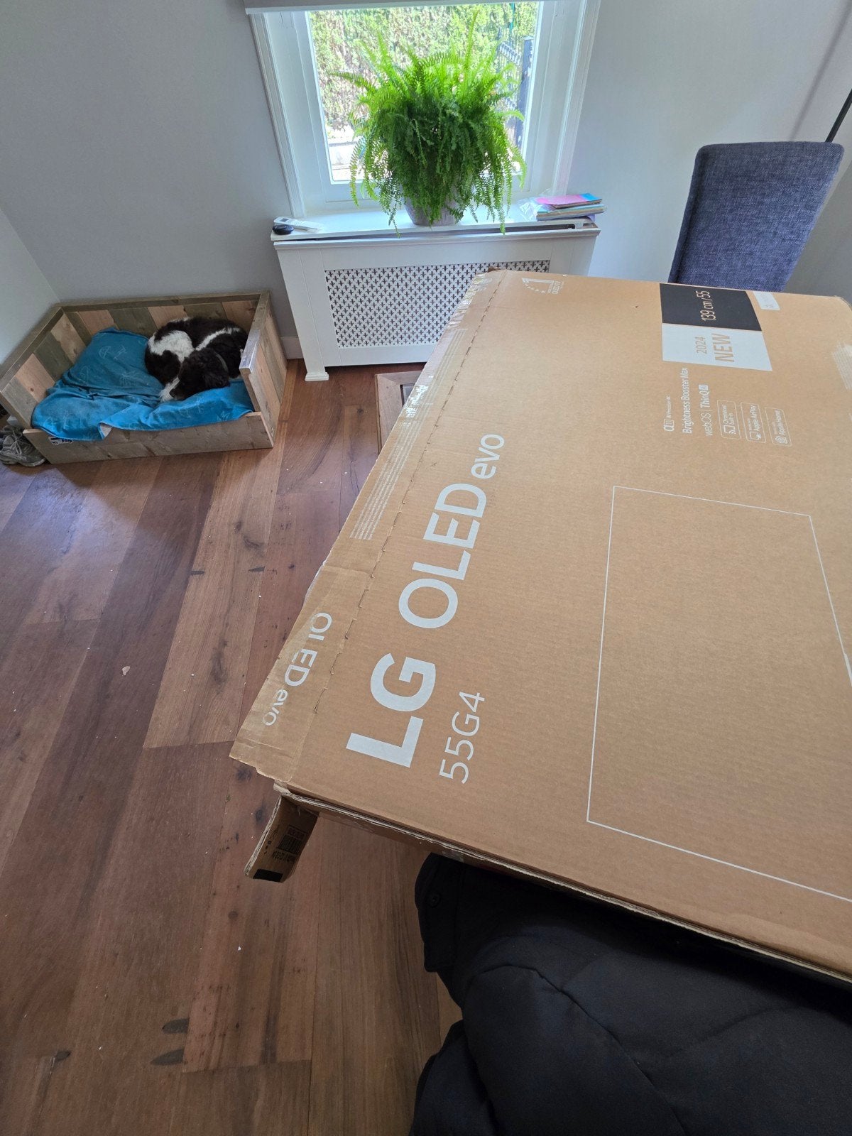 Lg oled G55G45 LW  voor onderdelen of reparatie, Ophalen of Verzenden, 100 cm of meer, 120 Hz, LG