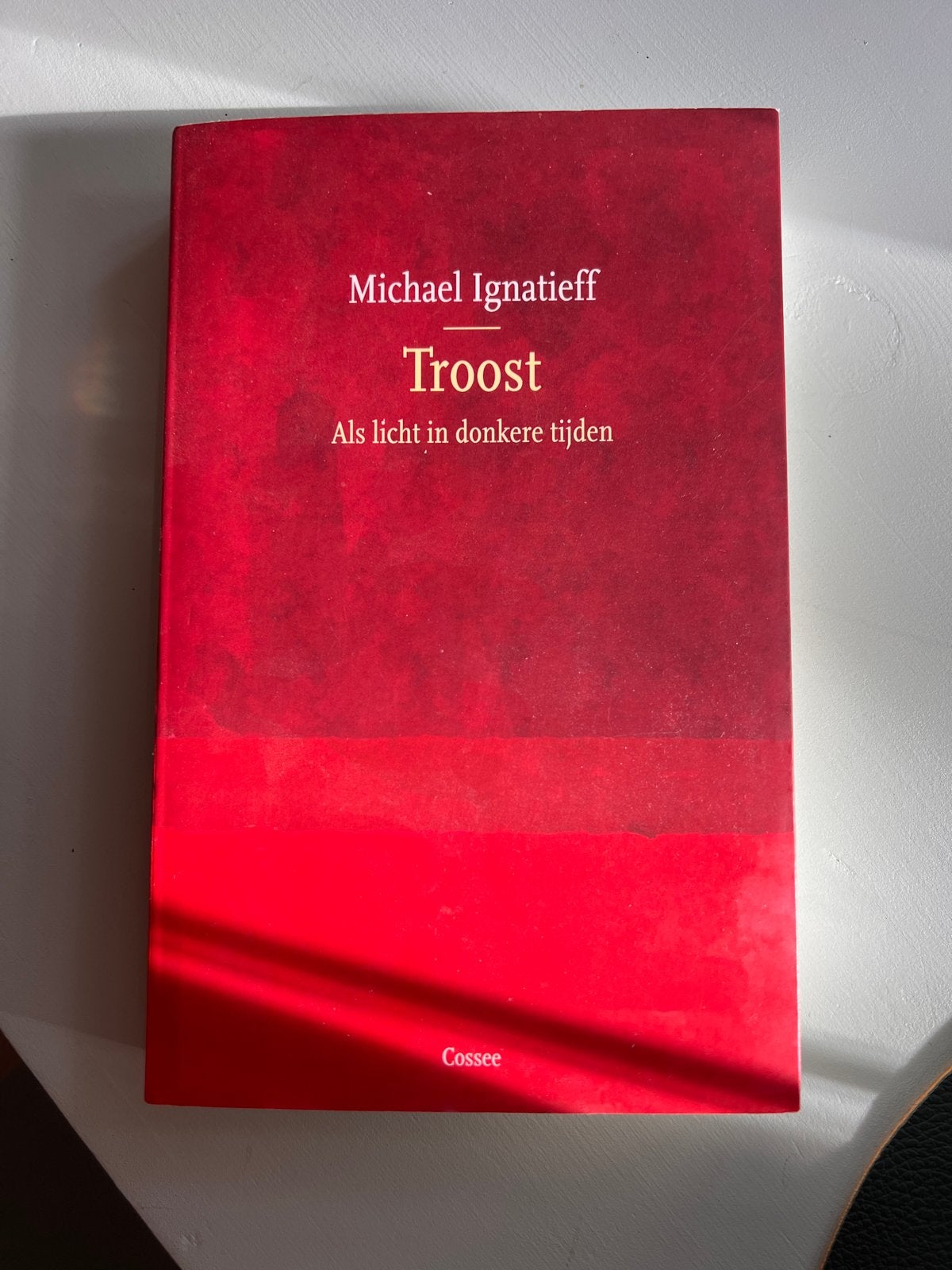 Troost: Als licht in donkere tijden - Michael Ignatieff, Ophalen of Verzenden, Zo goed als nieuw, Nederland