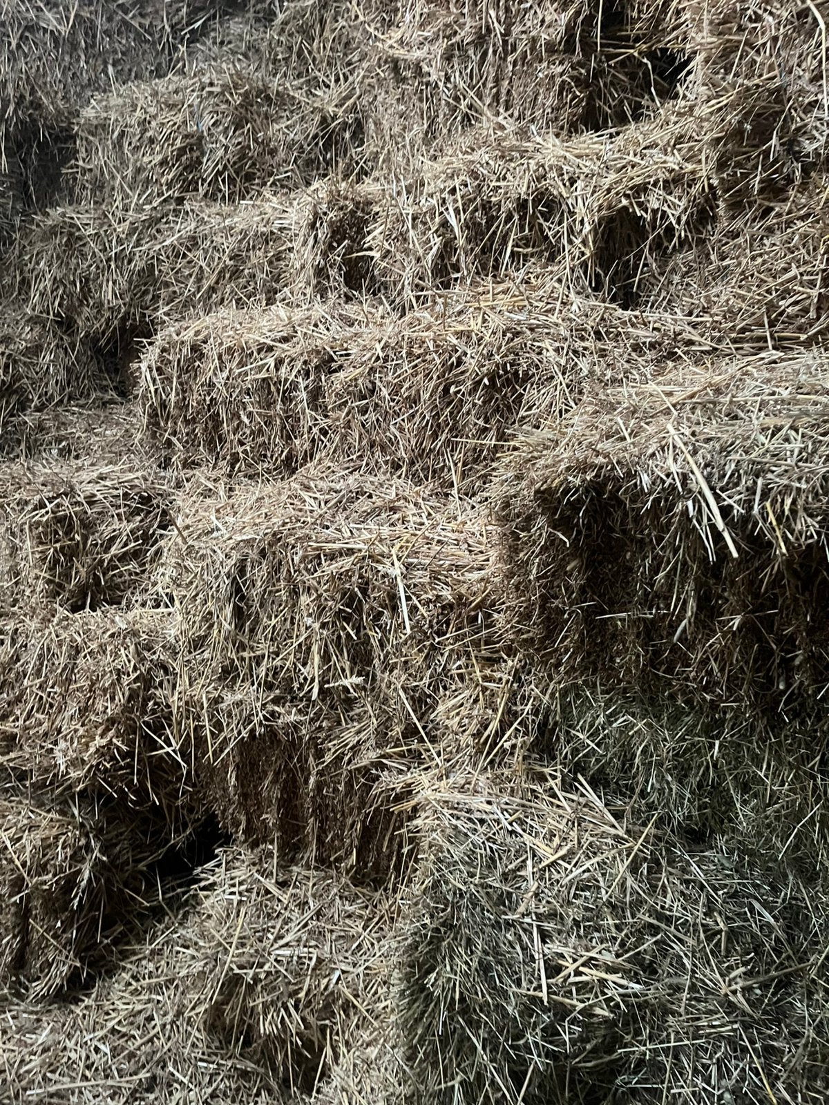 Hooi en stro in kleine balen, Dieren en Toebehoren, Ophalen, Vee