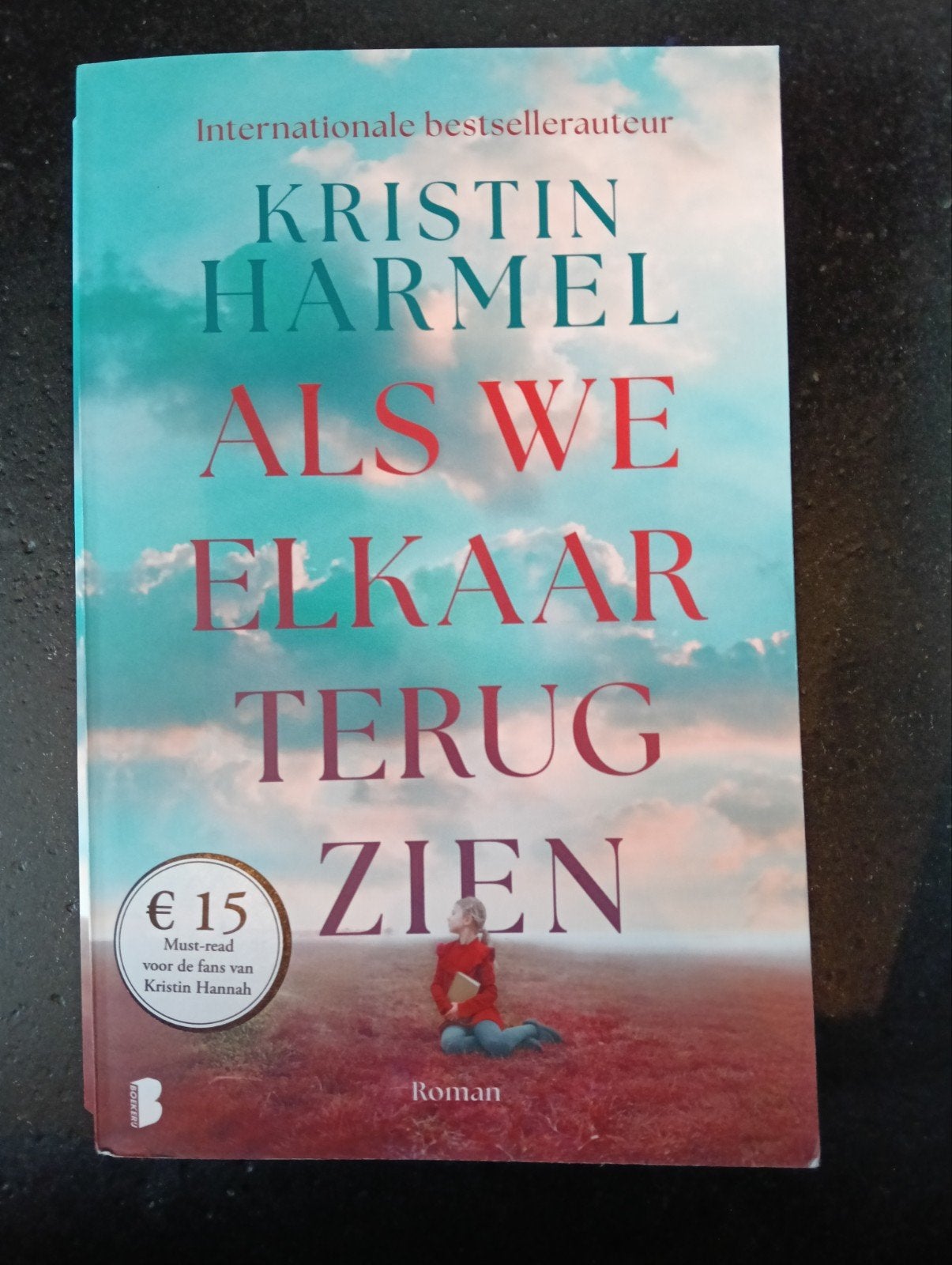 Als we elkaar terugzien - Kristin Harmel, Boeken, Ophalen of Verzenden, Gelezen, Kristin Harmel