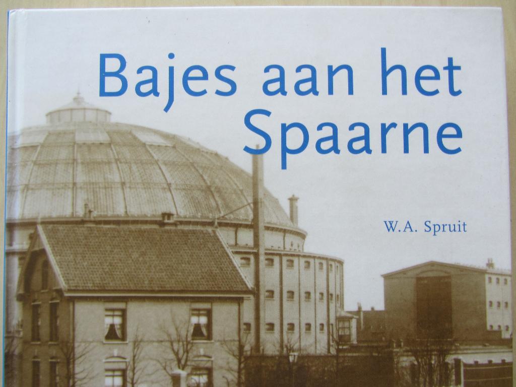 Haarlem, Bajes aan het Spaarne + Haarlemsche gevangenissen, Boeken, Geschiedenis | Stad en Regio, Zo goed als nieuw, Ophalen of Verzenden