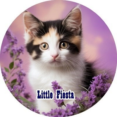 lf192 luxe icing kitten 20cm ook even afbeeldingen mogelijk, Ophalen of Verzenden, Nieuw, Taarten, Versiering