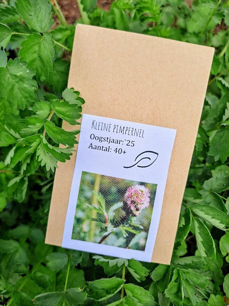 Bio zaden kleine pimpernel (inheems, meerjarig, eetbaar), Tuin en Terras, Ophalen of Verzenden, Gehele jaar, Volle zon, Zaad