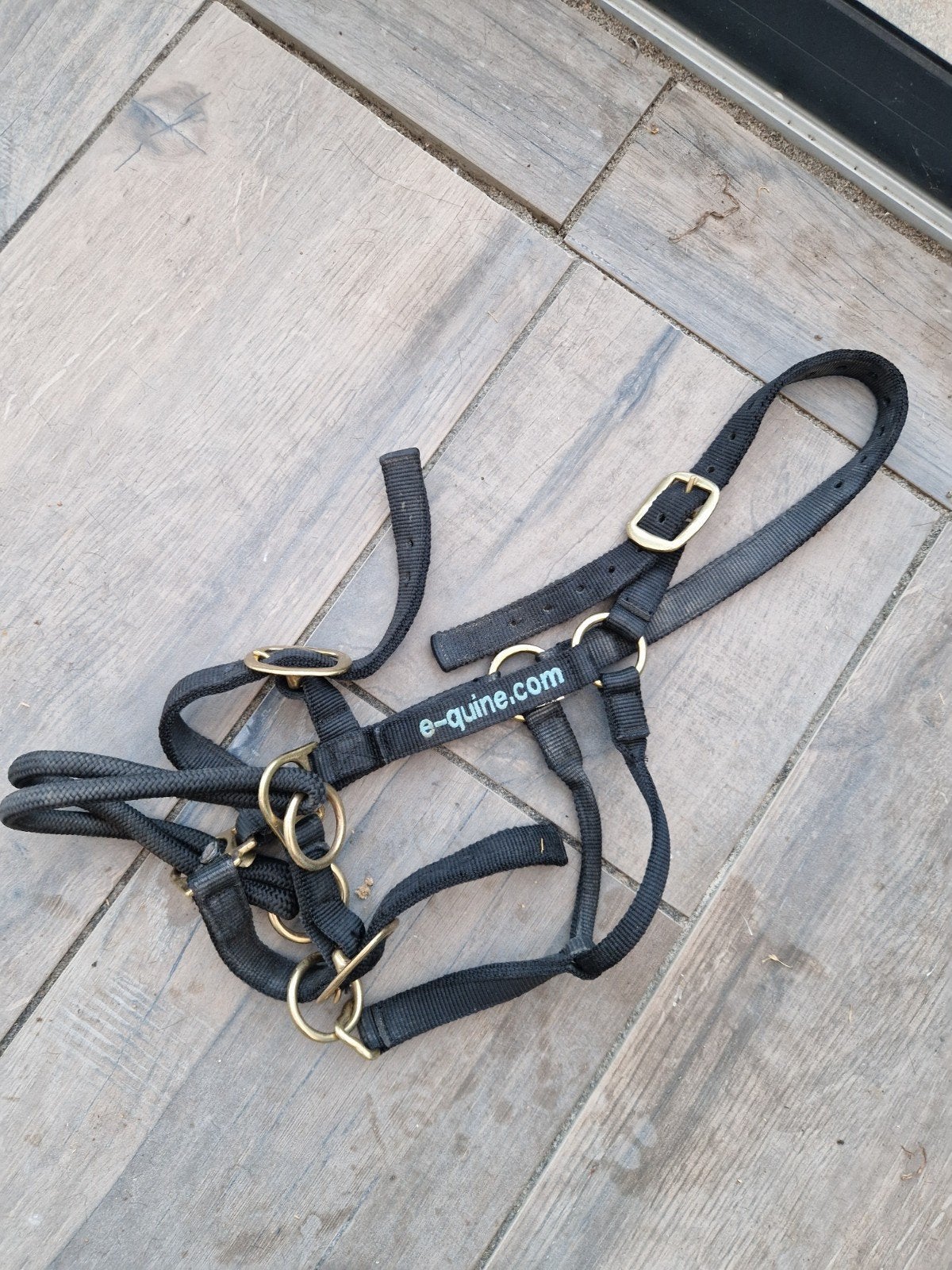 Equine halster blauw, Dieren en Toebehoren, Ophalen of Verzenden, Zo goed als nieuw