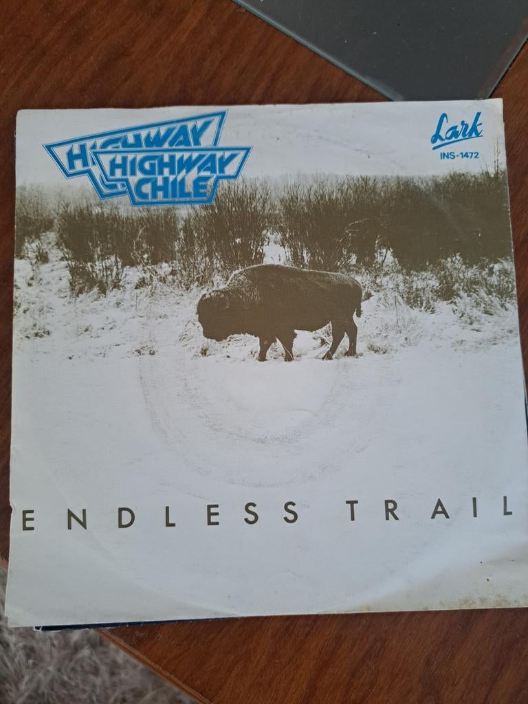 Highway Chile - Endless Trail (Single), Cd's en Dvd's, Ophalen of Verzenden