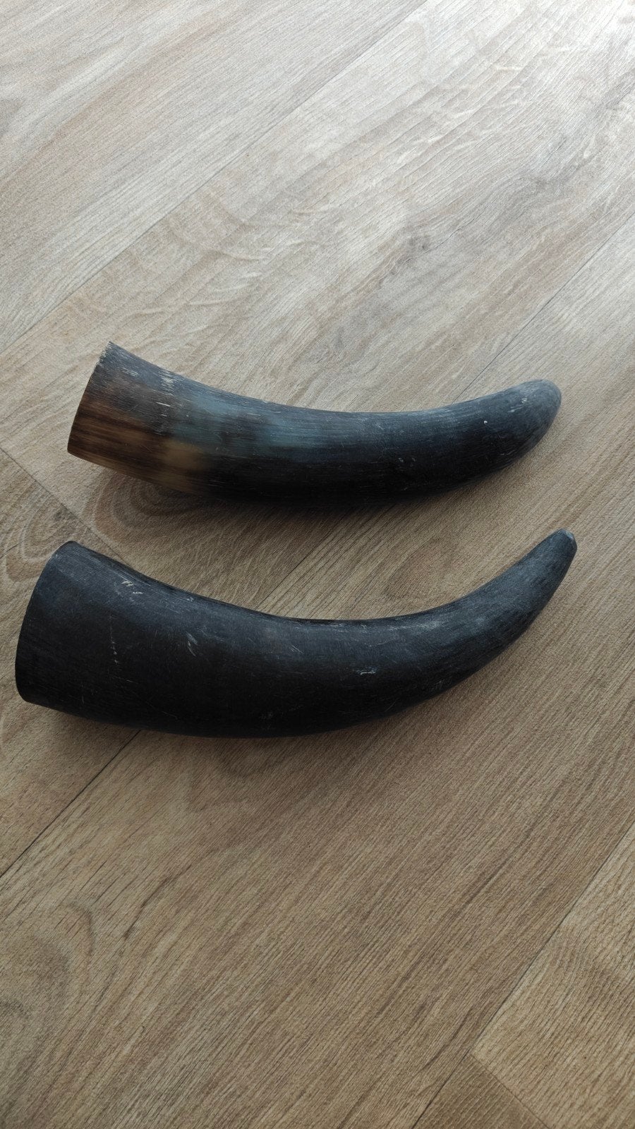 Hoorns, 2 stuks, Ophalen of Verzenden