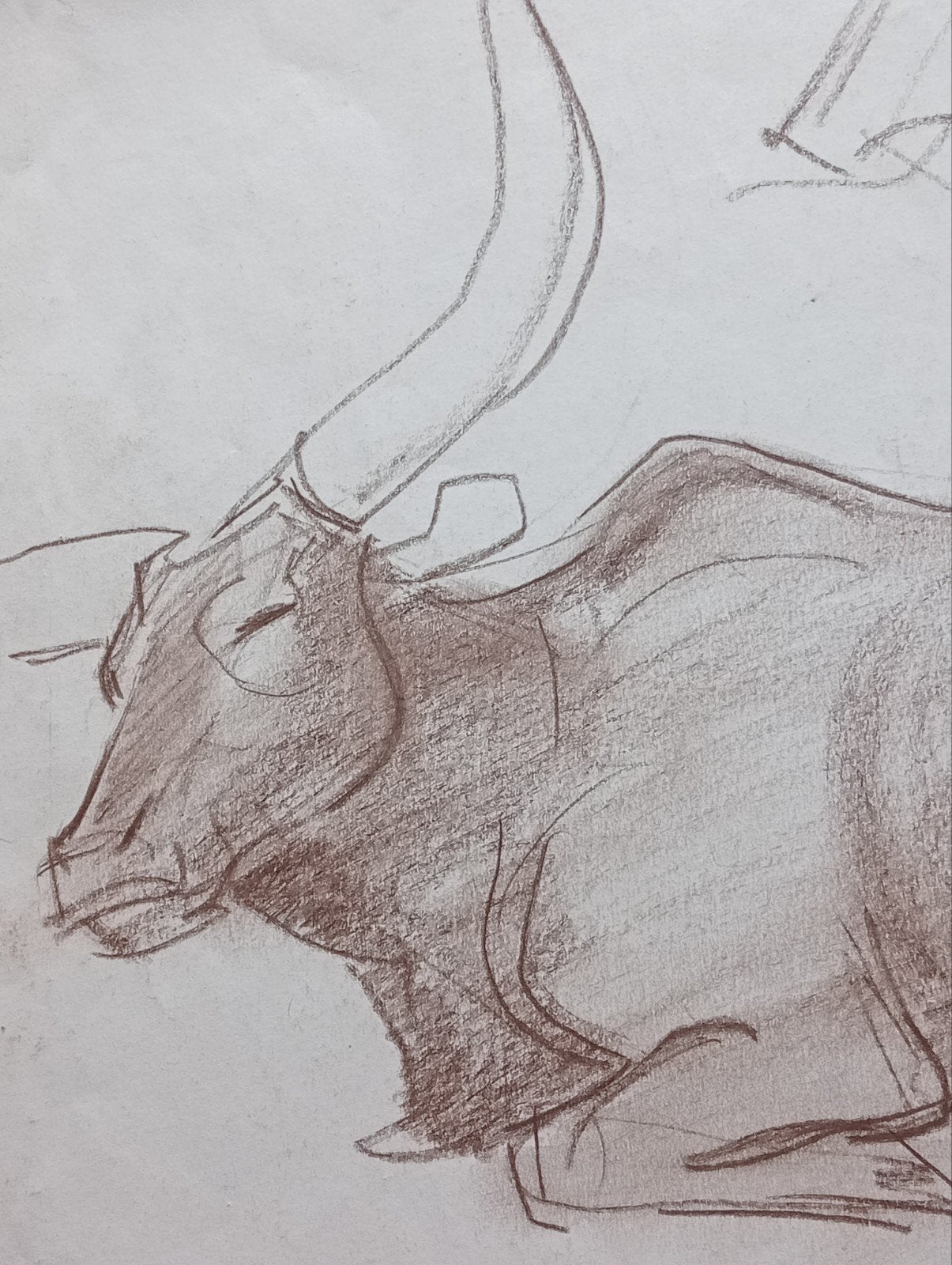 Jan Visser tekening Buffel jaren 40-50 Blijdorp Rotterdam, Antiek en Kunst, Kunst | Tekeningen en Foto's, Ophalen of Verzenden