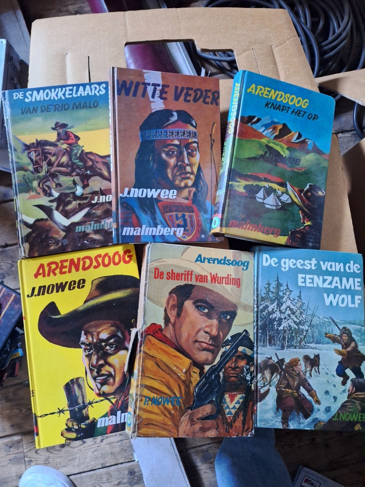 Arendsoog boeken van P. Nowee - Diverse titels, Ophalen of Verzenden, Gelezen, P. Nowee