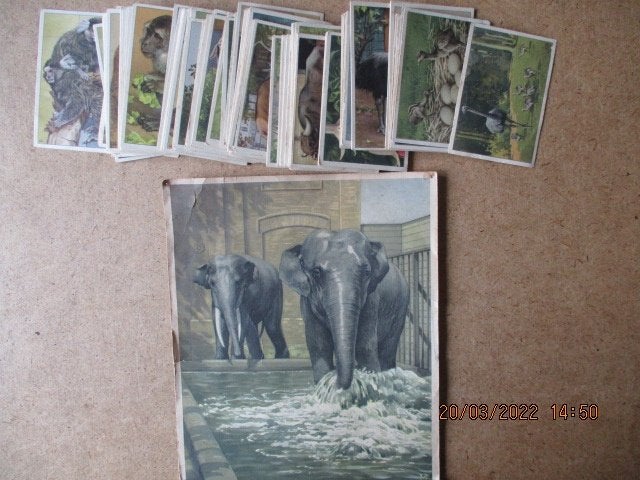 adv6150 veel plaatjes verkade plaatjes album, Ophalen, Gelezen