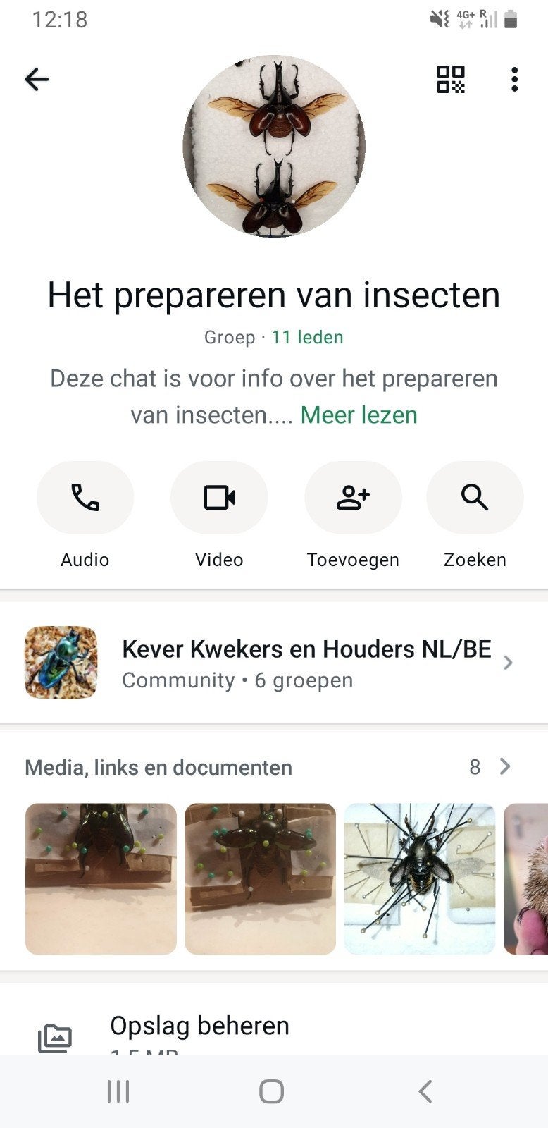 Whatsapp Subgroep voor het prepareren van kevers, Overige soorten