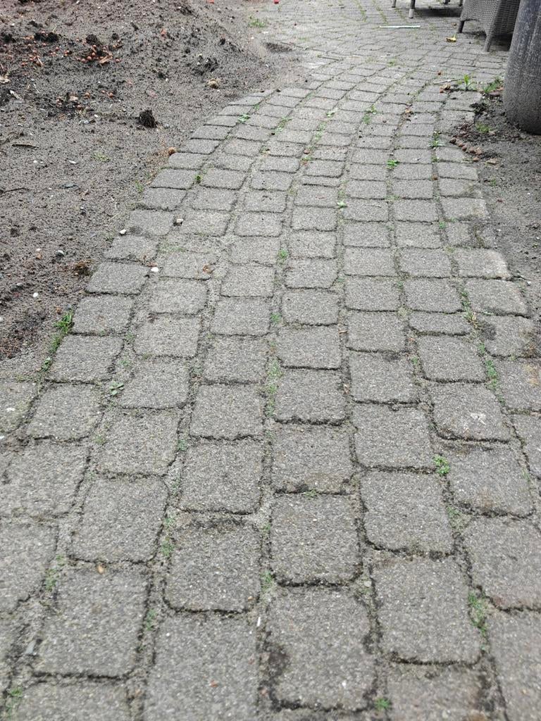 Gebruikte betonnen klinkers voor tuin of pad, Tuin en Terras, Tegels en Klinkers, Ophalen, Gebruikt, Klinkers, 10 m² of meer