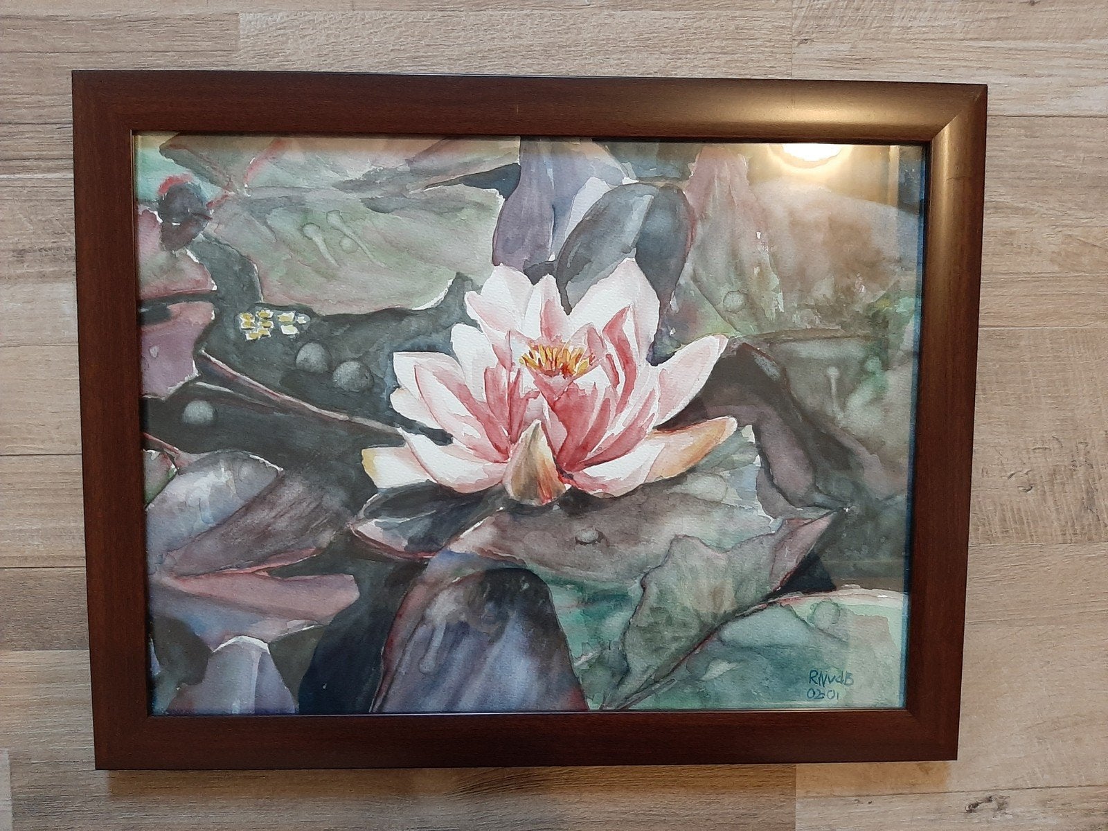 Ingelijste aquarel  bloem waterlelie, Ophalen of Verzenden