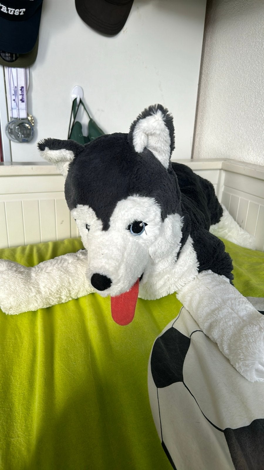Grote Husky knuffel - Zwart en wit, Zwart, Zo goed als nieuw, Middelgroot (20 tot 80 cm), Hond