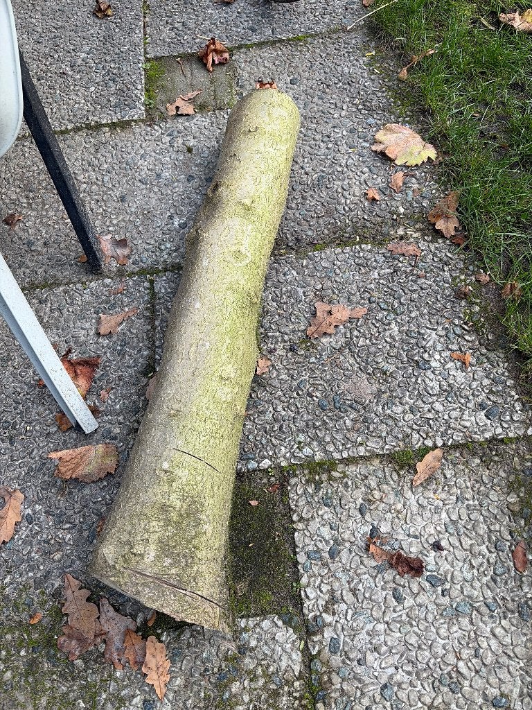 Boomstam, Minder dan 3 m³, Ophalen of Verzenden, Overige houtsoorten, Stammen