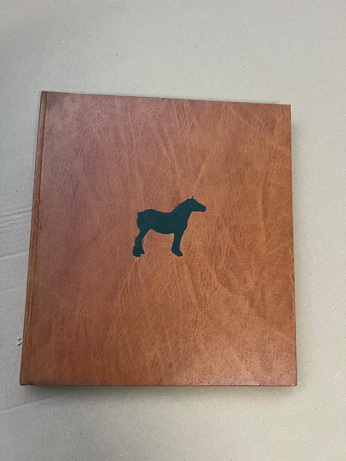 Het Brieschend Paard - Prachtig geïllustreerd boek, Ophalen of Verzenden, Zo goed als nieuw, Overige onderwerpen