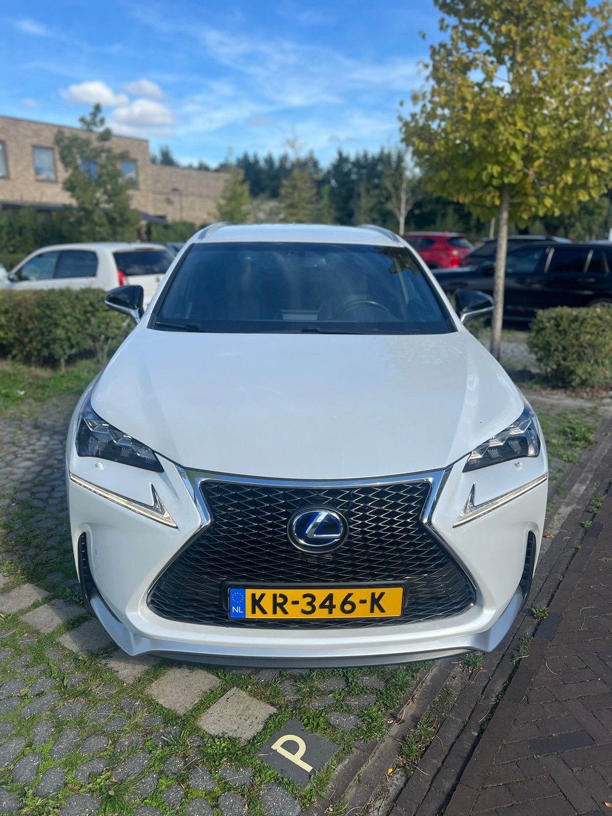 F - Sport Lexus NX 300H 2.5 E-cvt AWD 2016 Wit, Auto's, Automaat, 2494 cc, Adaptive Cruise Control, Origineel Nederlands