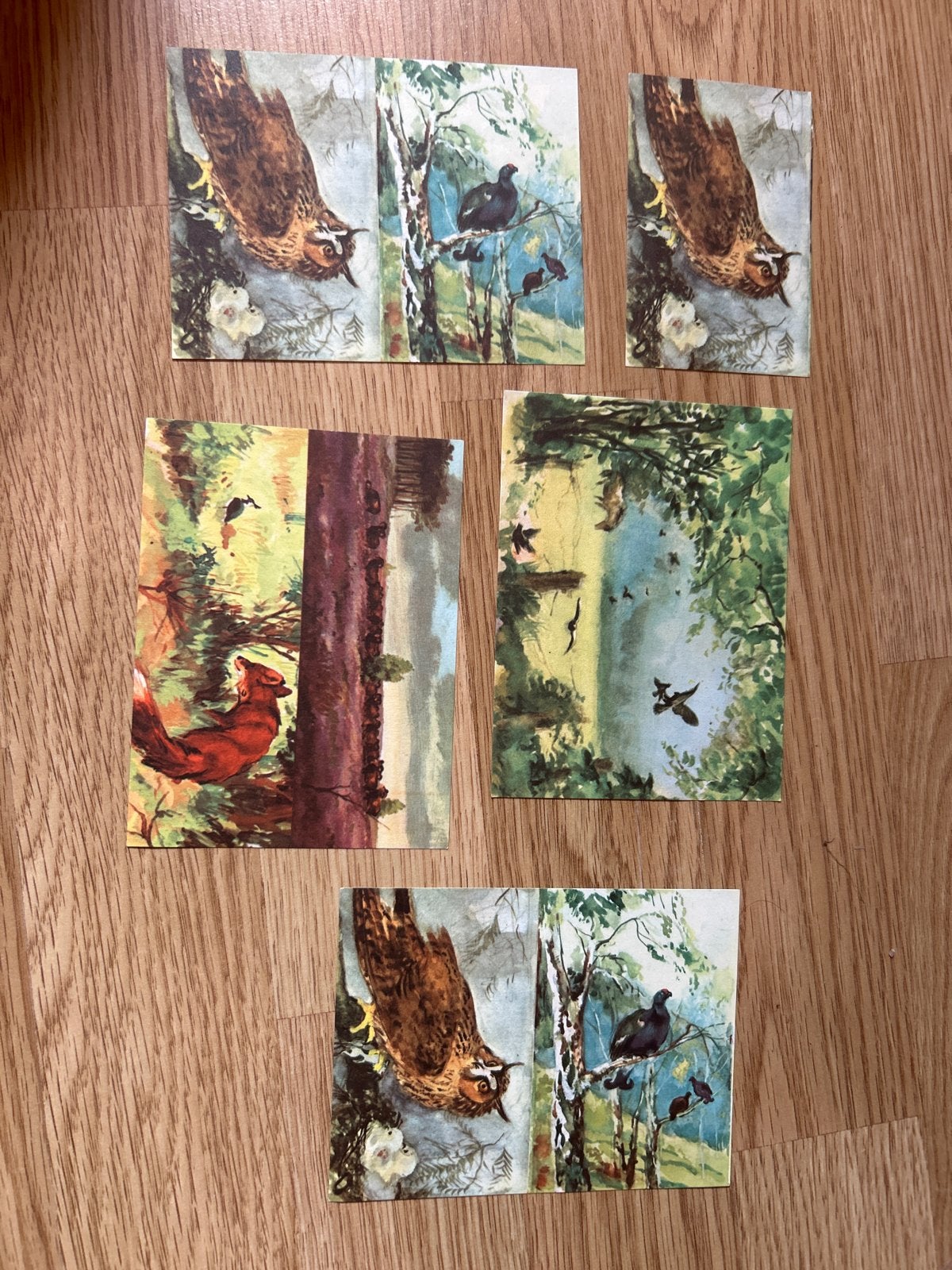 Vintage Plaatjes uit "Zo leeft de Hoge Veluwe" - Vogels, Gebruikt, Ophalen of Verzenden, 1940 tot 1960, Dier