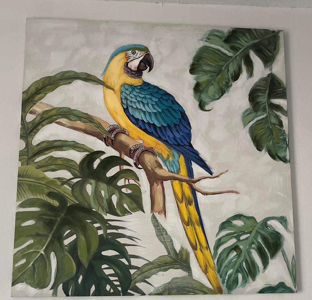 Schilderij tropische papegaai, 100x100 cm op canvas, Ophalen of Verzenden