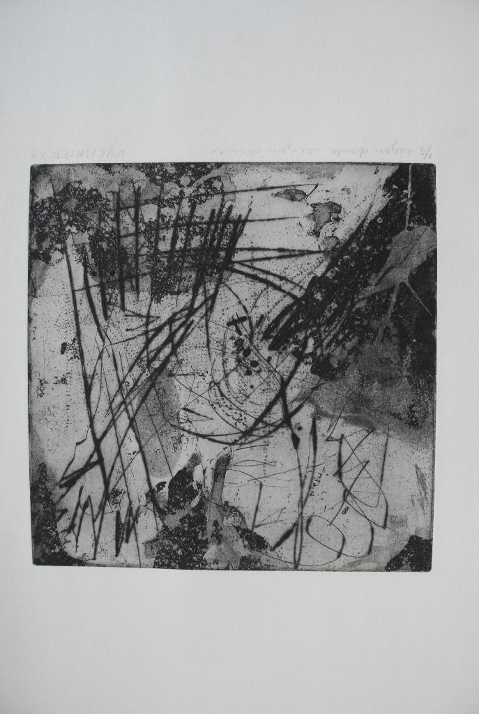 ernst vylbrief, Ophalen of Verzenden, Ets, Ingelijst, 1950 - 1999