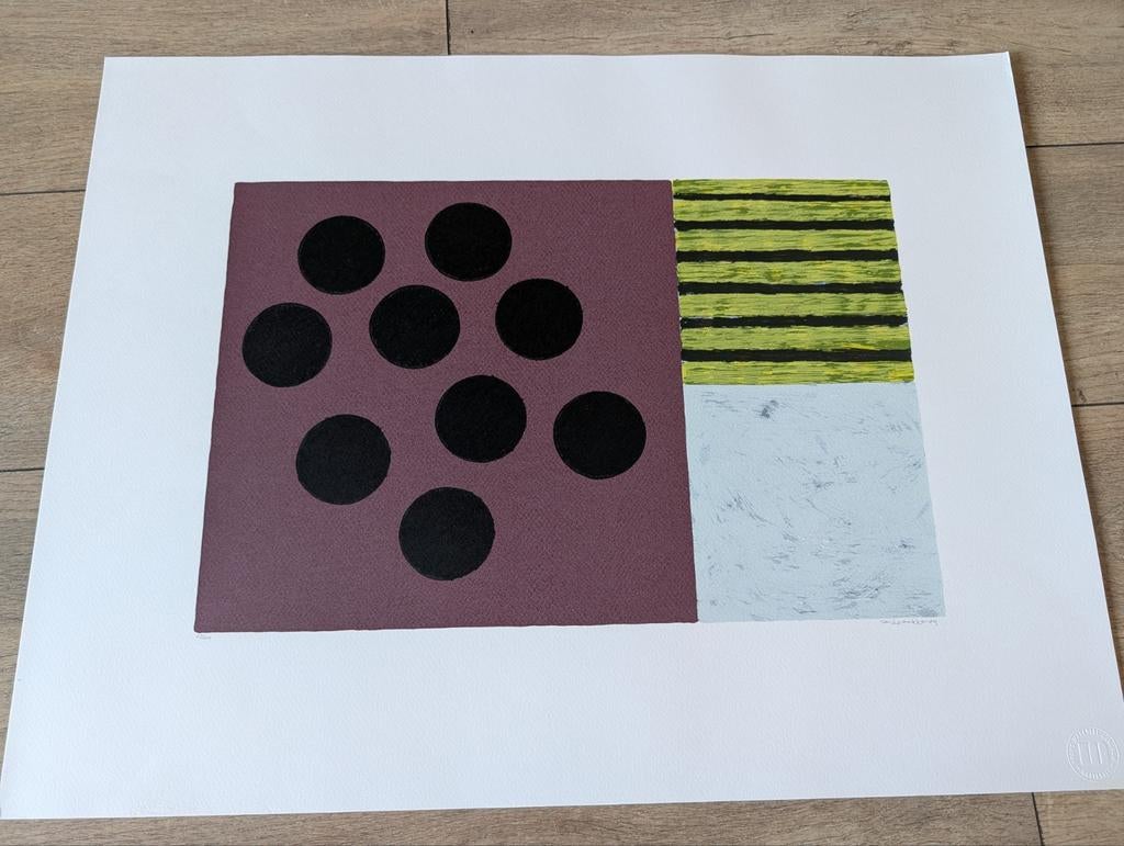 Bert Loerakker niet ingelijst., Antiek en Kunst, Kunst | Tekeningen en Foto's, Ophalen