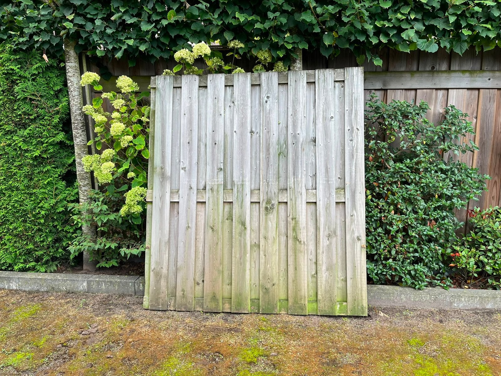 6 gebruikte houten schuttingen, Tuin en Terras, Ophalen, 6 meter of meer, Hout, 1 tot 2 meter
