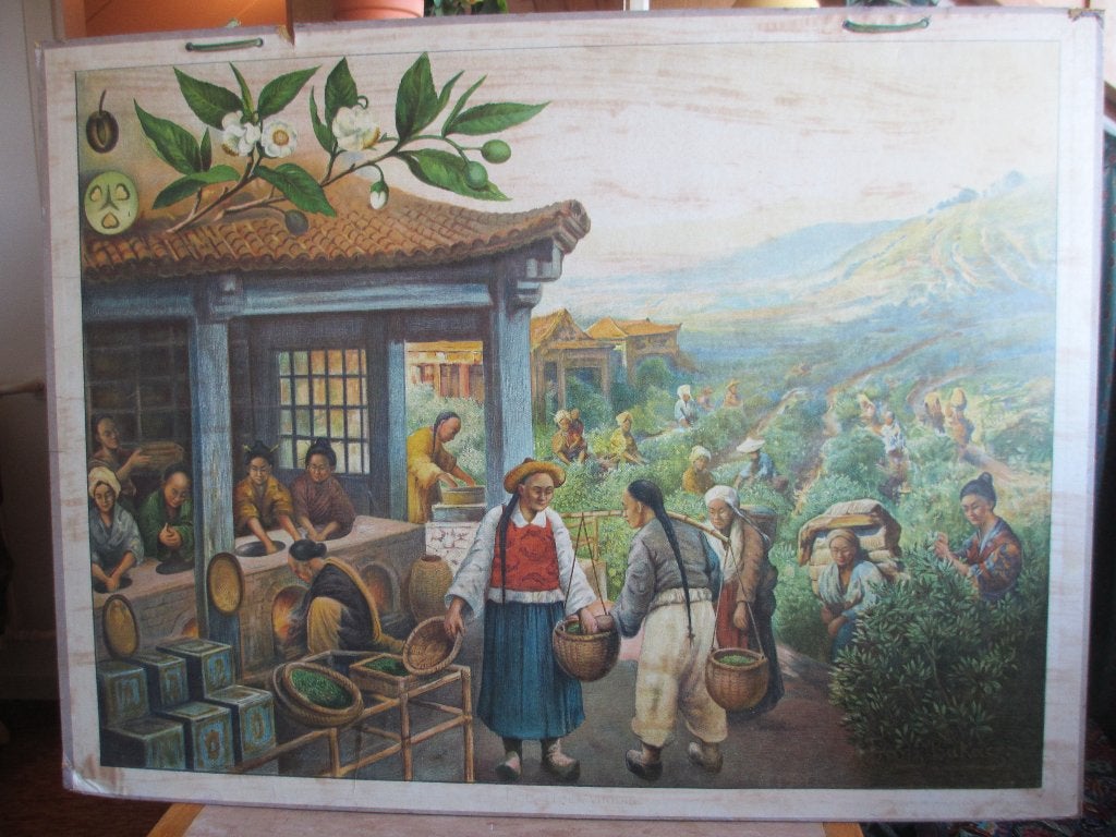 Originele oude schoolplaat met bergen, Antiek en Kunst, Antiek | Schoolplaten, Ophalen, Natuur en Biologie