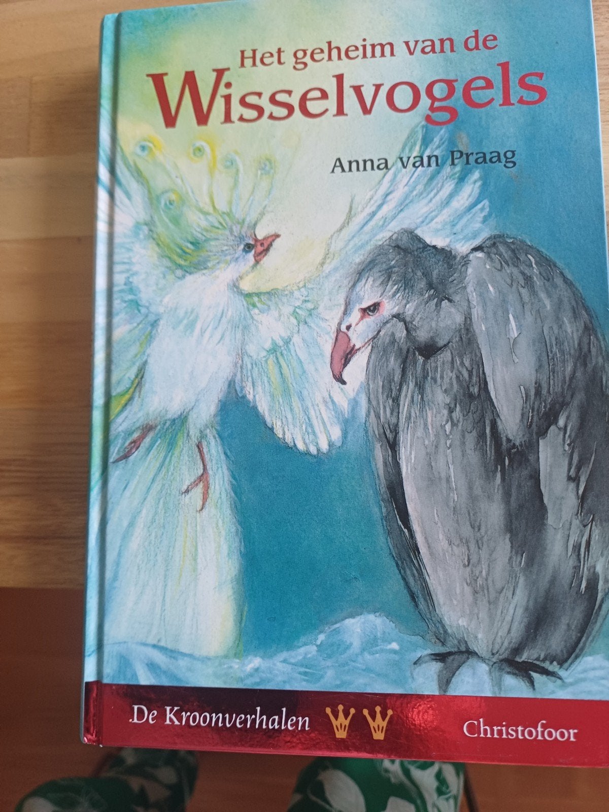 A. van Praag - Het geheim van de Wisselvogels, Ophalen of Verzenden, Zo goed als nieuw, A. van Praag