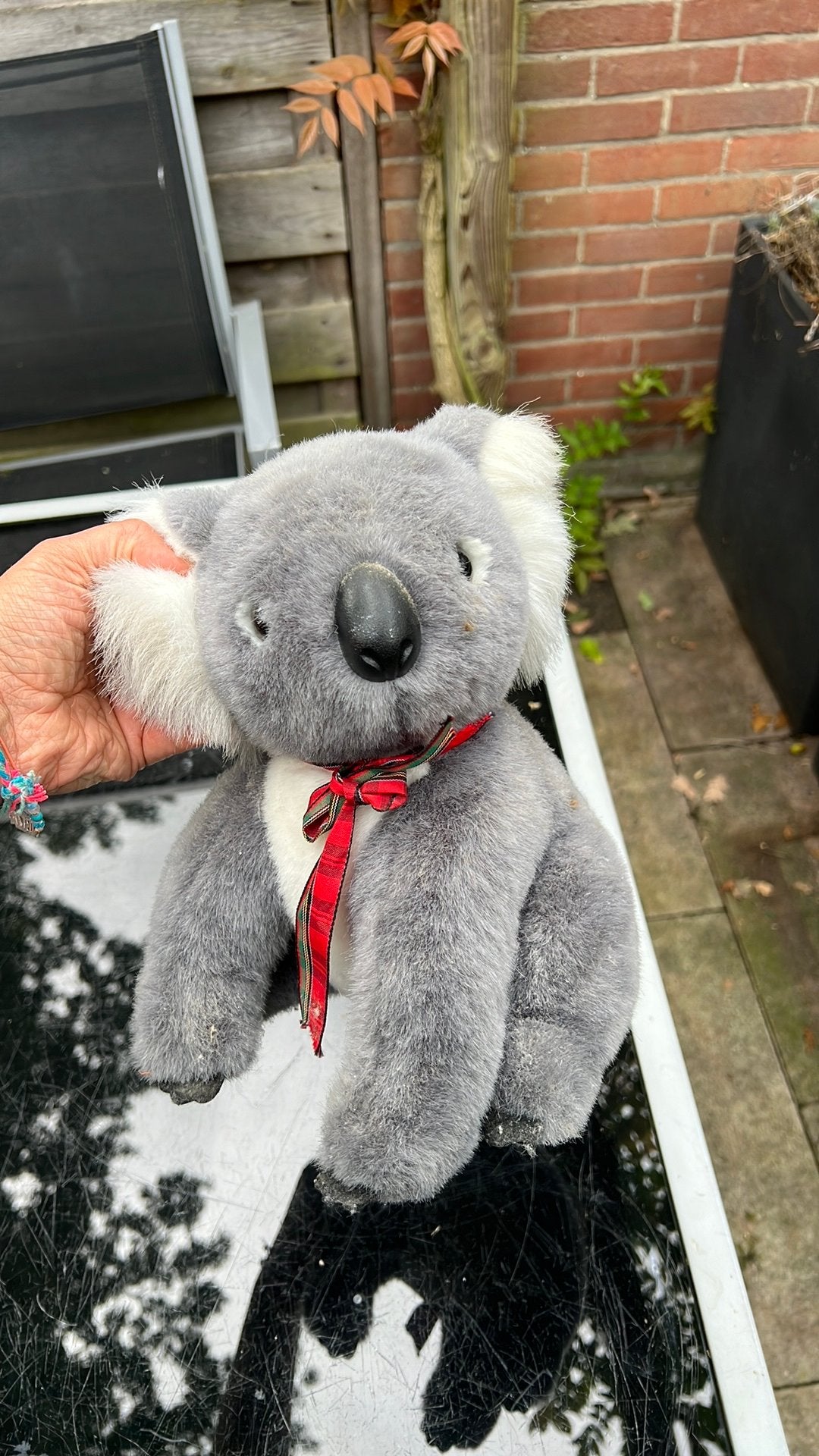 Laatste kans! Koala knuffel origineel uit australie, Ophalen of Verzenden, Gebruikt, Stoffen beer, Overige merken
