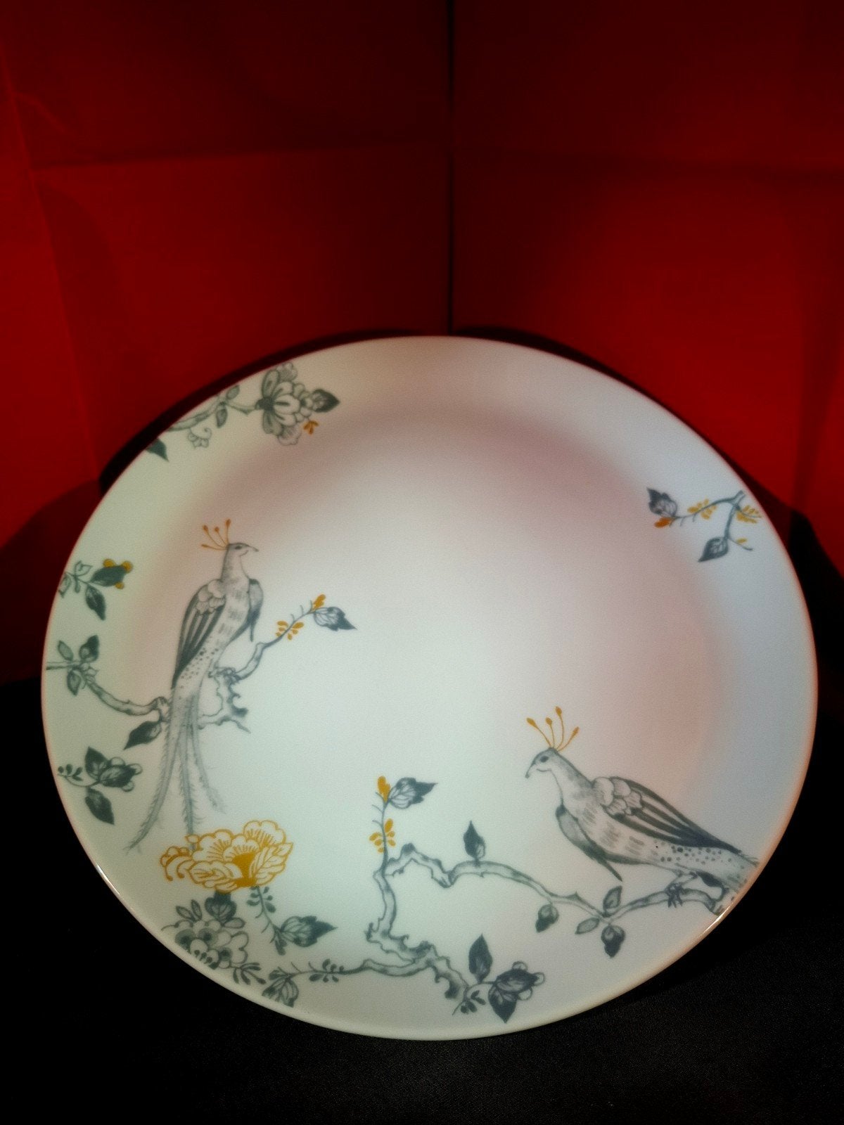 2 borden – VIVO by Villeroy & Boch 'Peacock, Ophalen, Zo goed als nieuw, Bord(en), Overige stijlen
