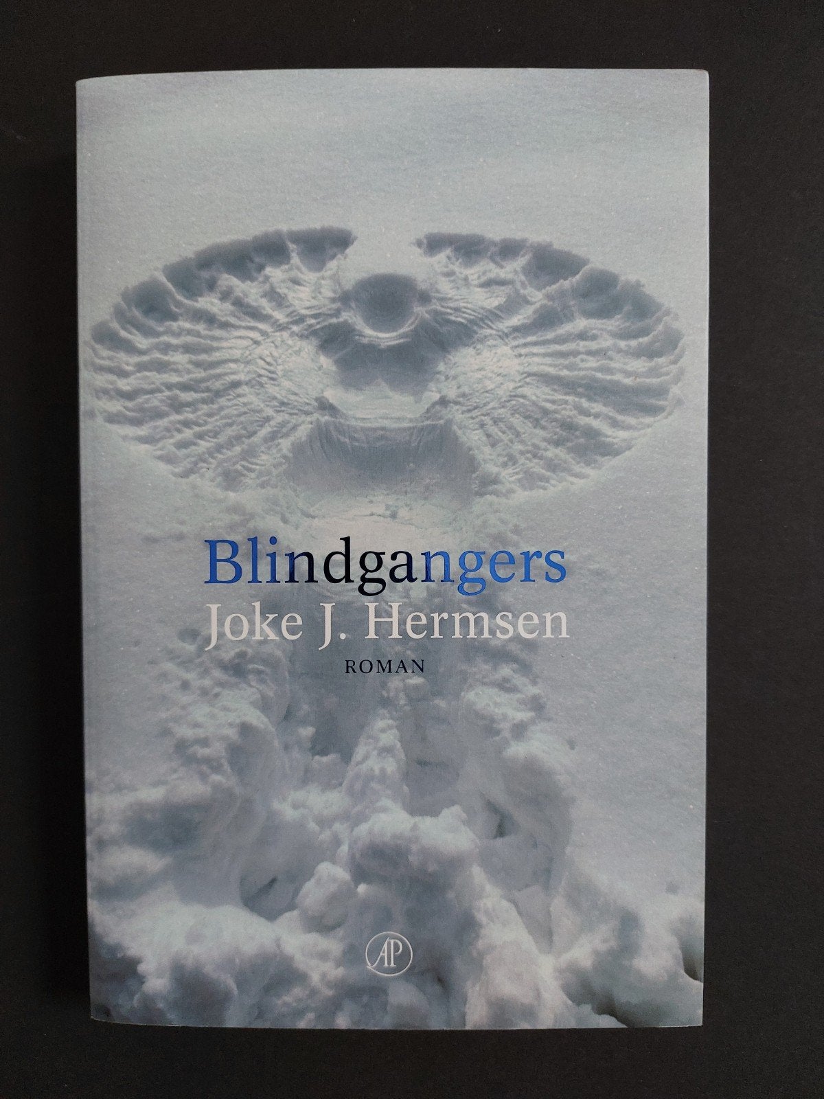 Joke J. Hermsen - Blindgangers, Ophalen of Verzenden, Gelezen, Joke J. Hermsen