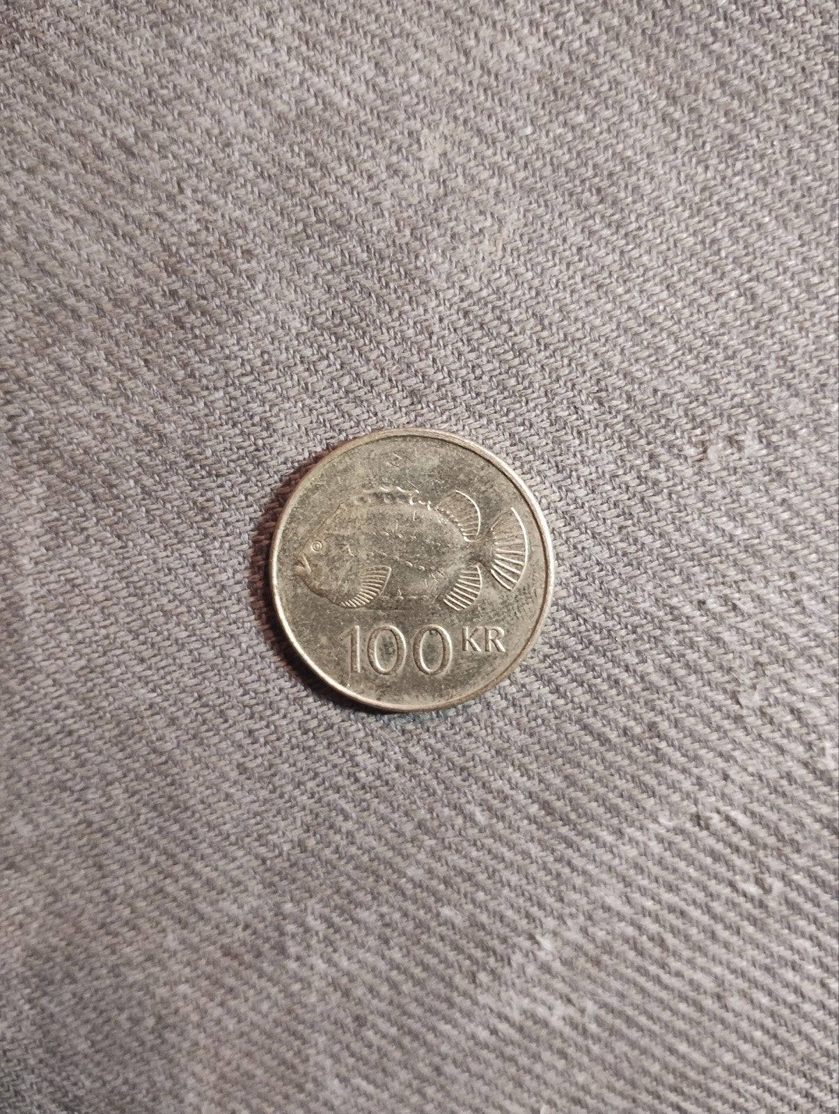 IJslandse 100 Krónur munt uit 2004 (M-0104), Postzegels en Munten, Ophalen of Verzenden, Overige landen, Losse munt
