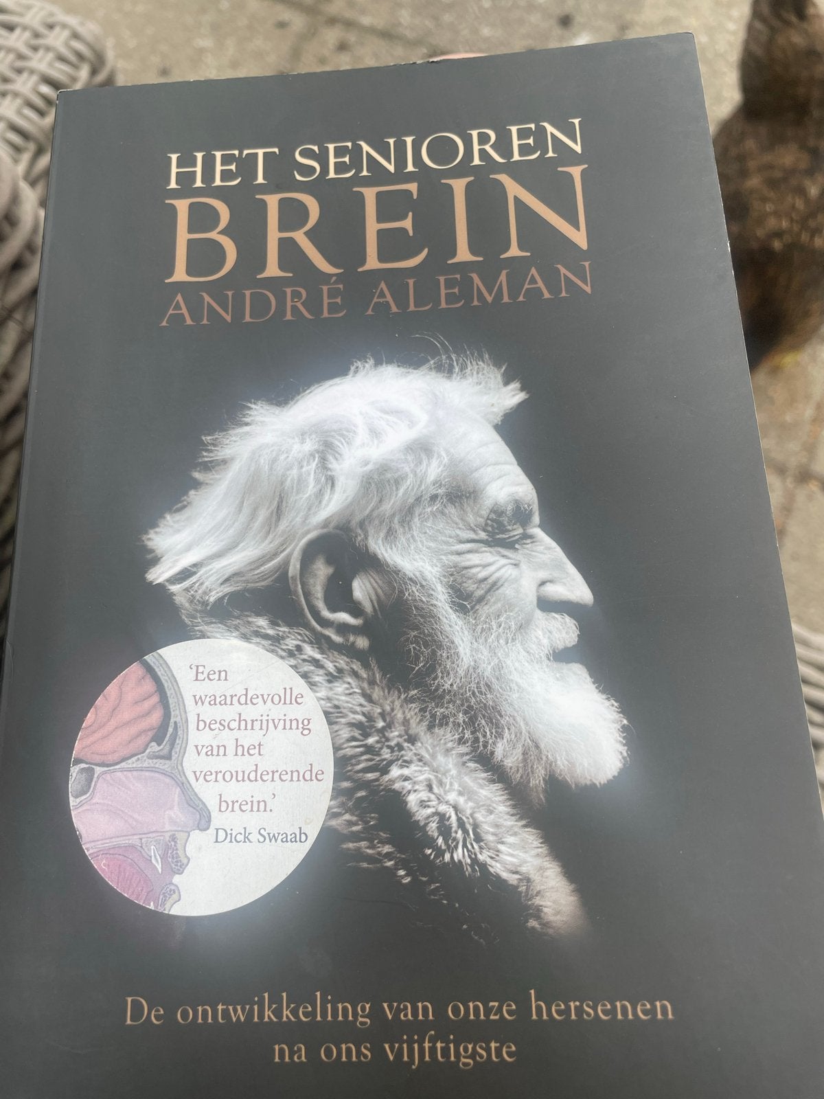Het Seniorenbrein - André Aleman (Psychologie), Ophalen of Verzenden, Zo goed als nieuw, Functieleer of Neuropsychologie