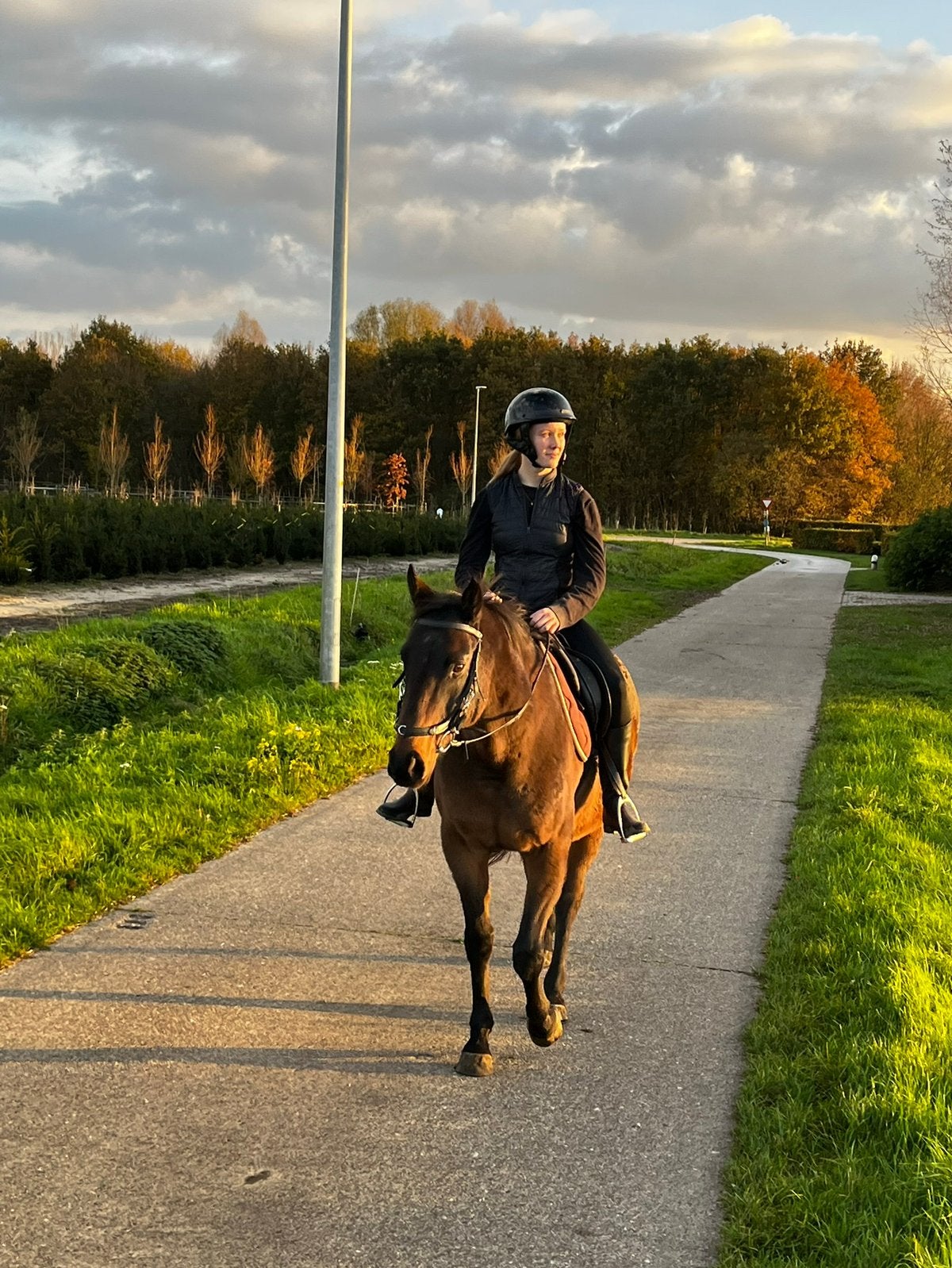 Eerlijke lieve E-pony, Dieren en Toebehoren, Pony's, 11 jaar of ouder, Recreatiepony, Met stamboom, Merrie