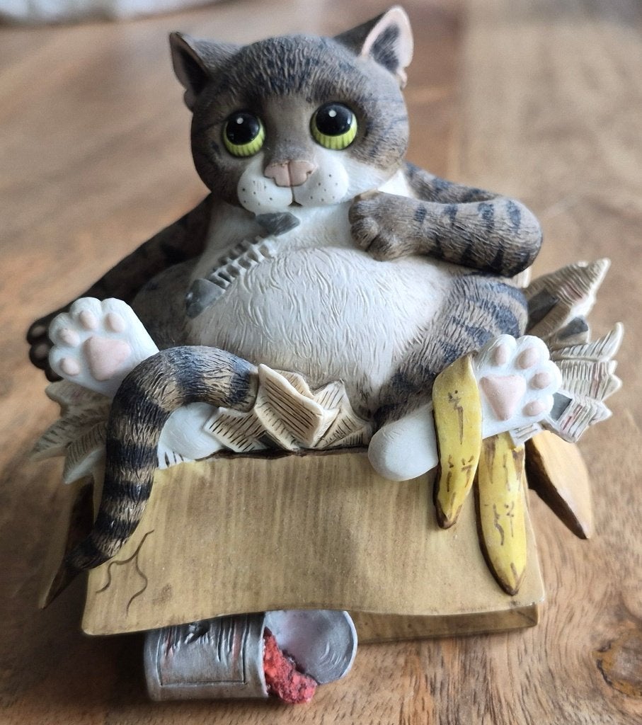 Kat bruin met zwarte streepjes en wit  in doos banaan, Ophalen of Verzenden, Zo goed als nieuw, Dier