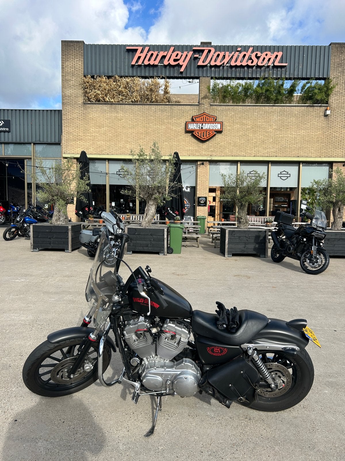 Harley-Davidson XL 883 Sportster - 2004, Motoren, 2 cilinders, Chopper, Gebruikt, Particulier