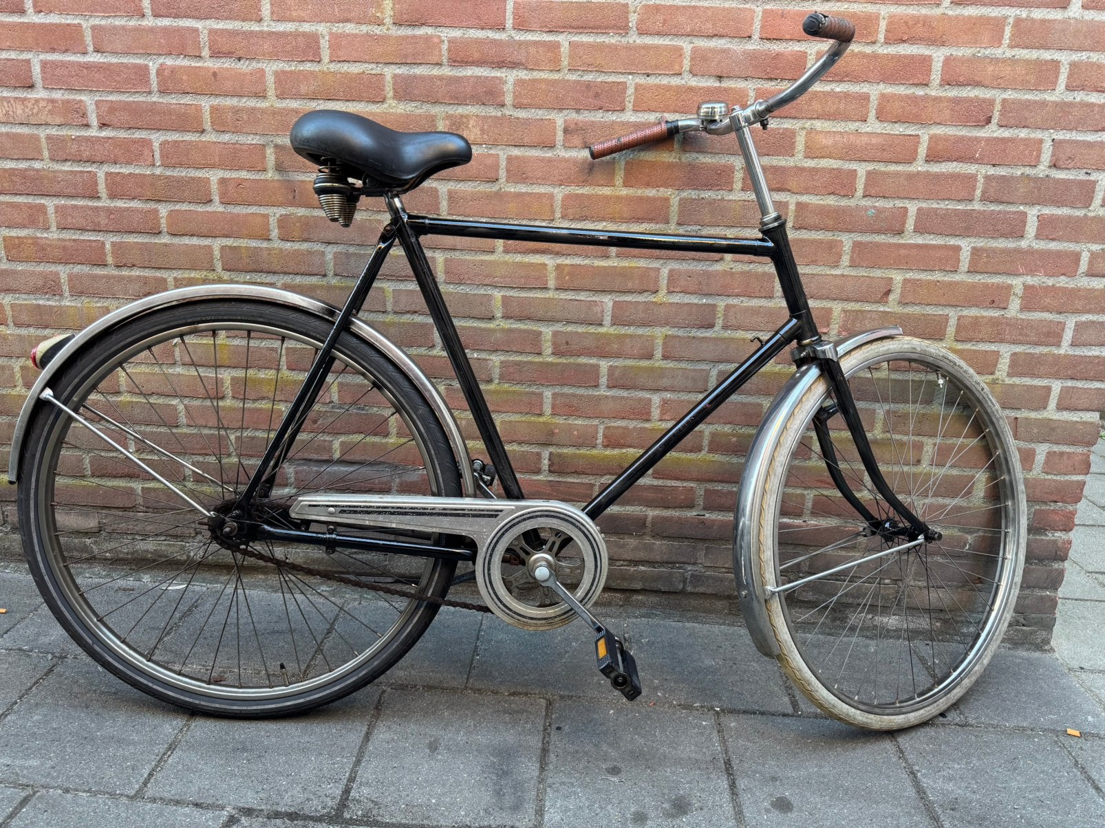 Bike, Dieren en Toebehoren, Insecten en Spinnen, Wandelende tak