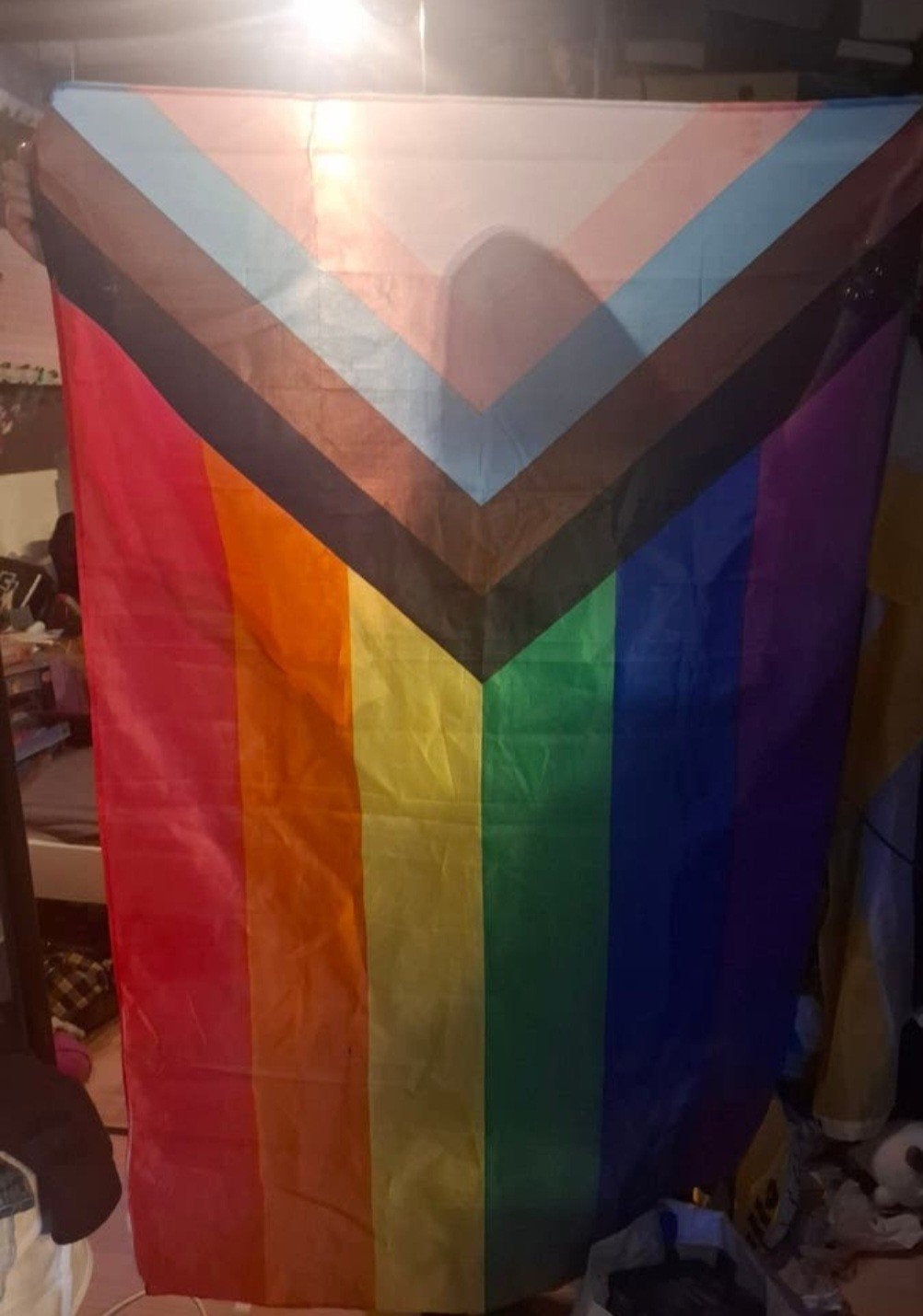 LGBTQIA+ vlag, Ophalen, Gebruikt