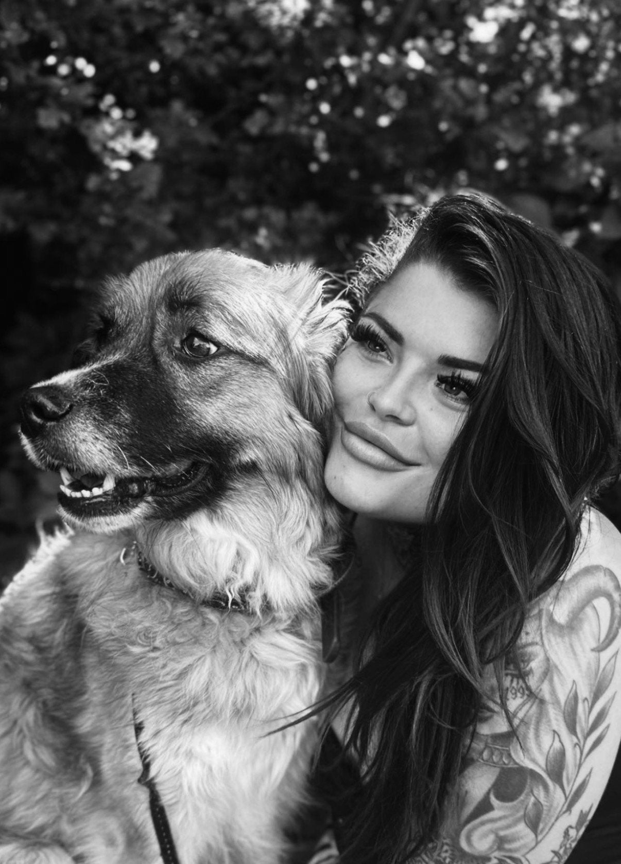 Op zoek naar een klein hondje, Ophalen of Verzenden