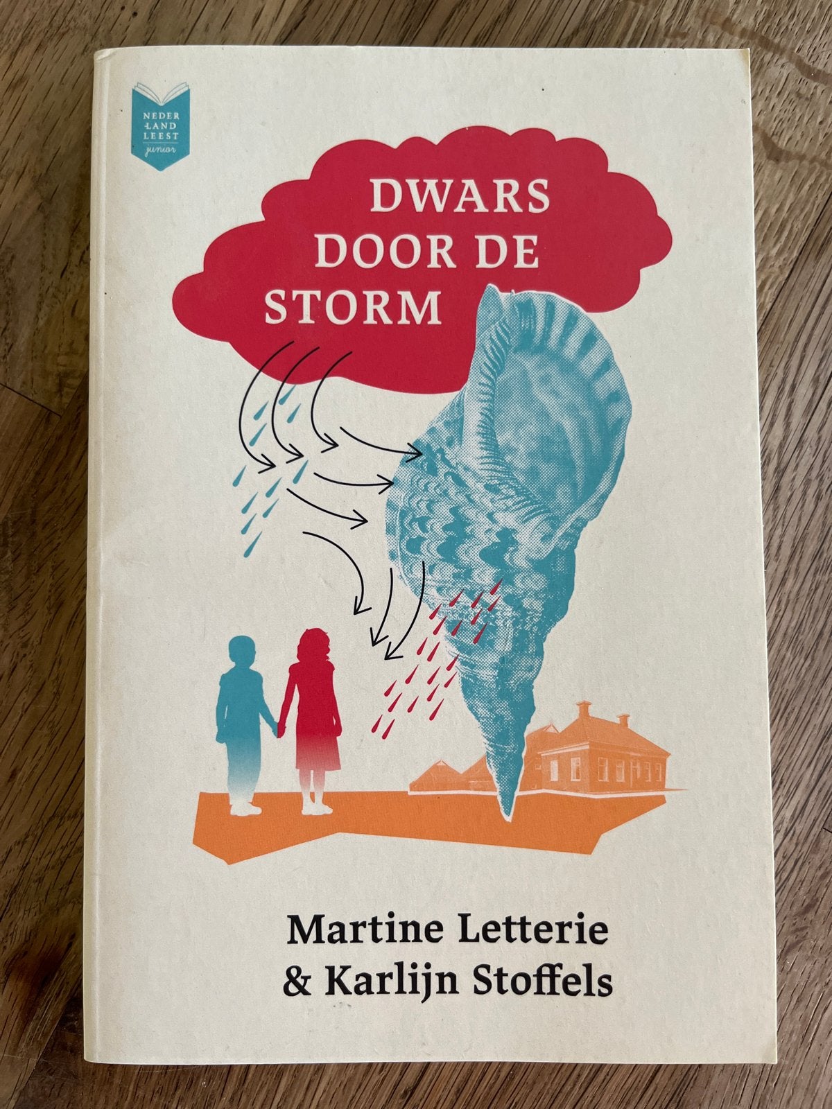 Dwars door de storm - Martine Letterie & Karlijn Stoffels, Ophalen of Verzenden, Gelezen, Fictie algemeen